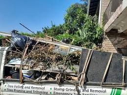 Best Hoarding Cleanup  in Fkville, AL
